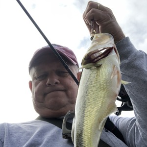 Image #3694 from GreatAnglers.com Image #3694 from GreatAnglers.com