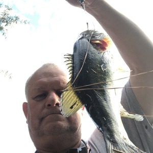 Image #3745 from GreatAnglers.com Image #3745 from GreatAnglers.com