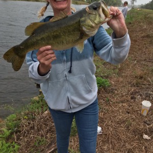 Image #3824 from GreatAnglers.com Image #3824 from GreatAnglers.com