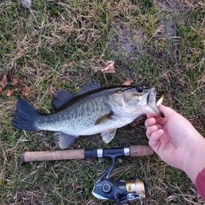 Image #3836 from GreatAnglers.com Image #3836 from GreatAnglers.com