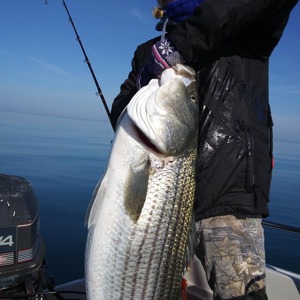 Image #3842 from GreatAnglers.com Image #3842 from GreatAnglers.com