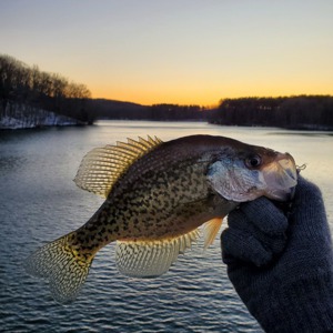 Image #3861 from GreatAnglers.com Image #3861 from GreatAnglers.com