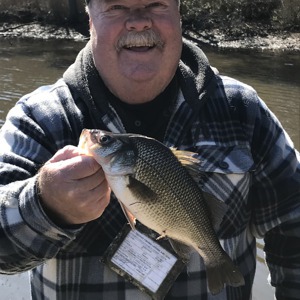 Image #3894 from GreatAnglers.com Image #3894 from GreatAnglers.com