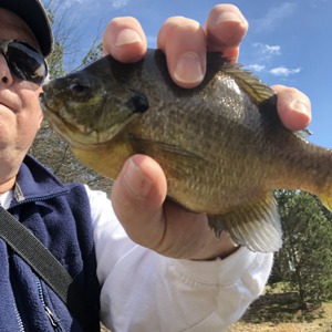 Image #3897 from GreatAnglers.com Image #3897 from GreatAnglers.com