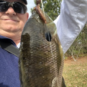 Image #3922 from GreatAnglers.com Image #3922 from GreatAnglers.com