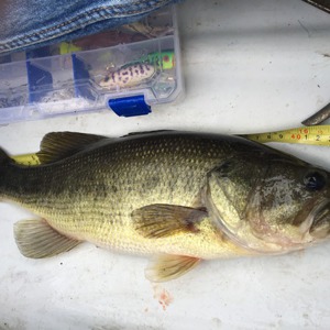 Image #3936 from GreatAnglers.com Image #3936 from GreatAnglers.com