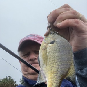 Image #3986 from GreatAnglers.com Image #3986 from GreatAnglers.com