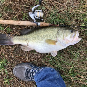 Image #3998 from GreatAnglers.com Image #3998 from GreatAnglers.com