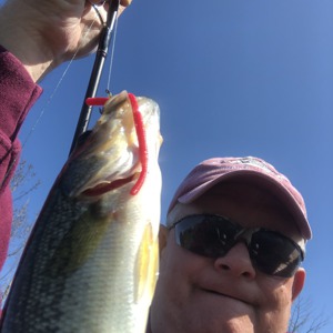 Image #4001 from GreatAnglers.com Image #4001 from GreatAnglers.com