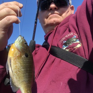 Image #4002 from GreatAnglers.com Image #4002 from GreatAnglers.com