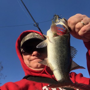 Image #4005 from GreatAnglers.com Image #4005 from GreatAnglers.com