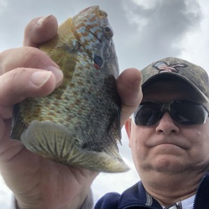 Image #4016 from GreatAnglers.com Image #4016 from GreatAnglers.com
