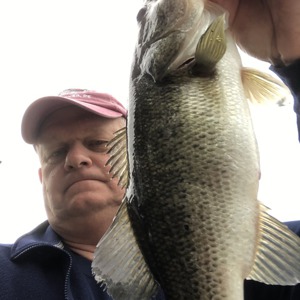 Image #4027 from GreatAnglers.com Image #4027 from GreatAnglers.com