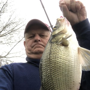 Image #4028 from GreatAnglers.com Image #4028 from GreatAnglers.com