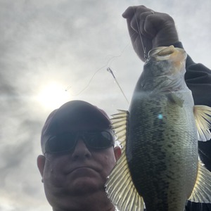 Image #4076 from GreatAnglers.com Image #4076 from GreatAnglers.com