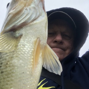 Image #4113 from GreatAnglers.com Image #4113 from GreatAnglers.com