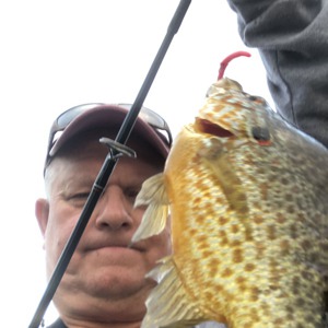 Image #4114 from GreatAnglers.com Image #4114 from GreatAnglers.com