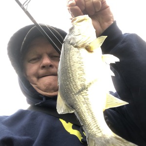Image #4140 from GreatAnglers.com Image #4140 from GreatAnglers.com