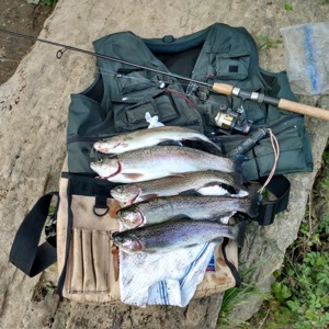 Image #4207 from GreatAnglers.com Image #4207 from GreatAnglers.com