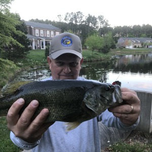Image #4228 from GreatAnglers.com Image #4228 from GreatAnglers.com