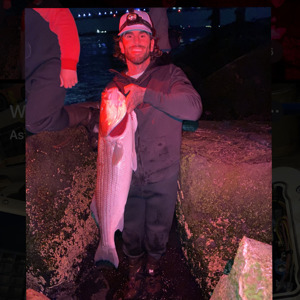 Image #4516 from GreatAnglers.com Image #4516 from GreatAnglers.com