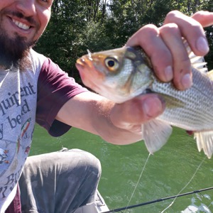 Image #4536 from GreatAnglers.com Image #4536 from GreatAnglers.com