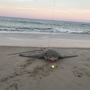 Image #4555 from GreatAnglers.com Image #4555 from GreatAnglers.com