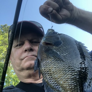 Image #4603 from GreatAnglers.com Image #4603 from GreatAnglers.com