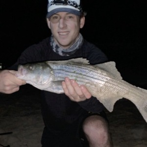Image #4642 from GreatAnglers.com Image #4642 from GreatAnglers.com