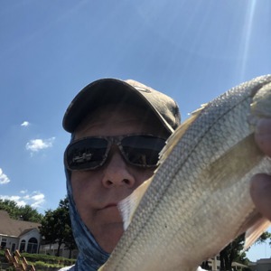 Image #4676 from GreatAnglers.com Image #4676 from GreatAnglers.com