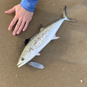 Image #4702 from GreatAnglers.com Image #4702 from GreatAnglers.com