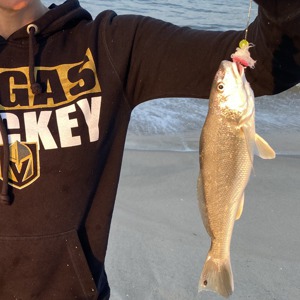 Image #4791 from GreatAnglers.com Image #4791 from GreatAnglers.com