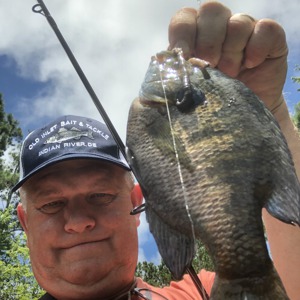 Image #4792 from GreatAnglers.com Image #4792 from GreatAnglers.com