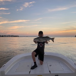 Image #5080 from GreatAnglers.com Image #5080 from GreatAnglers.com