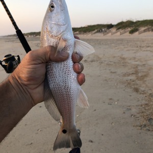 Image #5121 from GreatAnglers.com Image #5121 from GreatAnglers.com