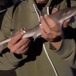 Image #5192 from GreatAnglers.com Image #5192 from GreatAnglers.com