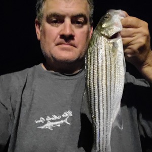 Image #5297 from GreatAnglers.com Image #5297 from GreatAnglers.com