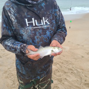 Image #5306 from GreatAnglers.com Image #5306 from GreatAnglers.com