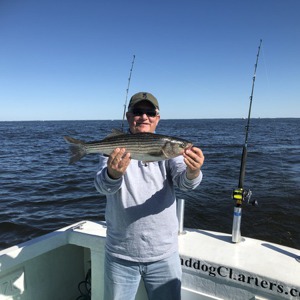 Image #5352 from GreatAnglers.com Image #5352 from GreatAnglers.com
