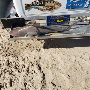 Image #5359 from GreatAnglers.com Image #5359 from GreatAnglers.com