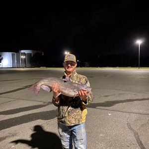 Image #5401 from GreatAnglers.com Image #5401 from GreatAnglers.com