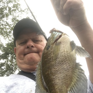 Image #5407 from GreatAnglers.com Image #5407 from GreatAnglers.com