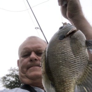 Image #5458 from GreatAnglers.com Image #5458 from GreatAnglers.com
