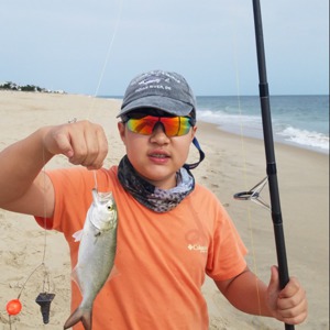 Image #5526 from GreatAnglers.com Image #5526 from GreatAnglers.com
