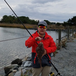 Image #5527 from GreatAnglers.com Image #5527 from GreatAnglers.com