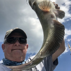 Image #5550 from GreatAnglers.com Image #5550 from GreatAnglers.com