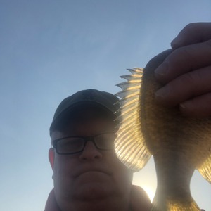 Image #5599 from GreatAnglers.com Image #5599 from GreatAnglers.com