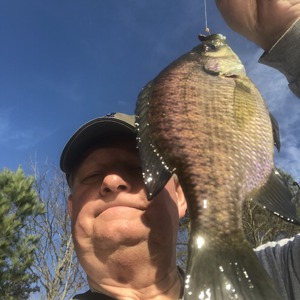 Image #5605 from GreatAnglers.com Image #5605 from GreatAnglers.com