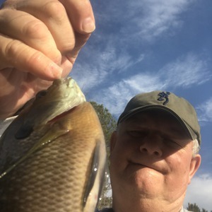 Image #5606 from GreatAnglers.com Image #5606 from GreatAnglers.com