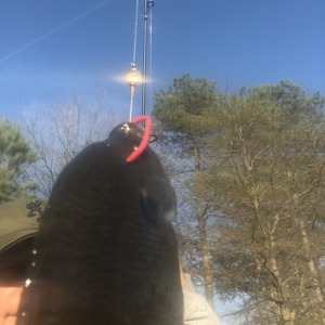 Image #5607 from GreatAnglers.com Image #5607 from GreatAnglers.com